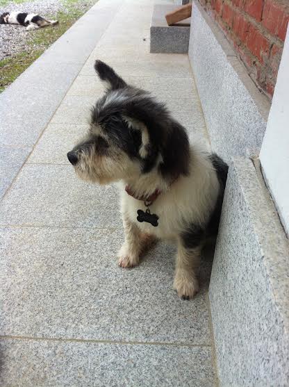 Lucie12.jpg
