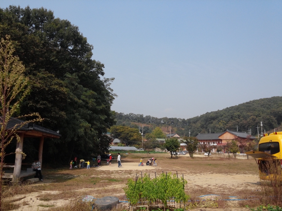 20151008_114905.jpg