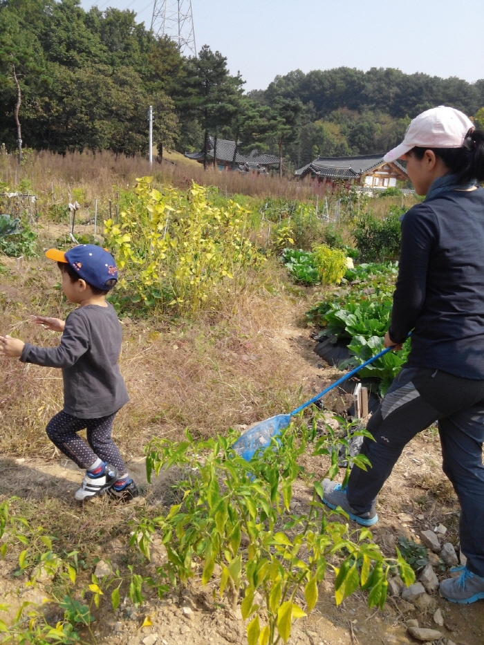 20151008_115849.jpg
