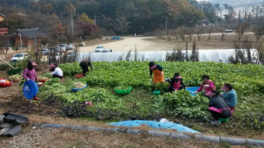 20151102_112508.jpg