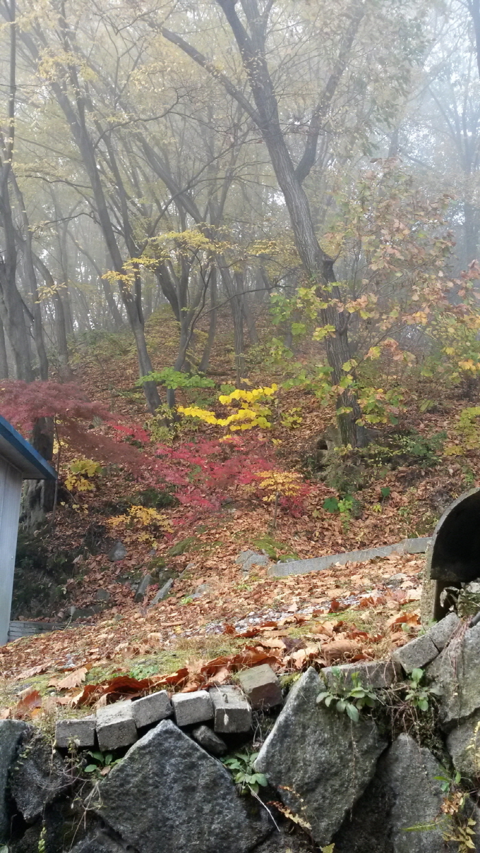 20151103_084010.jpg