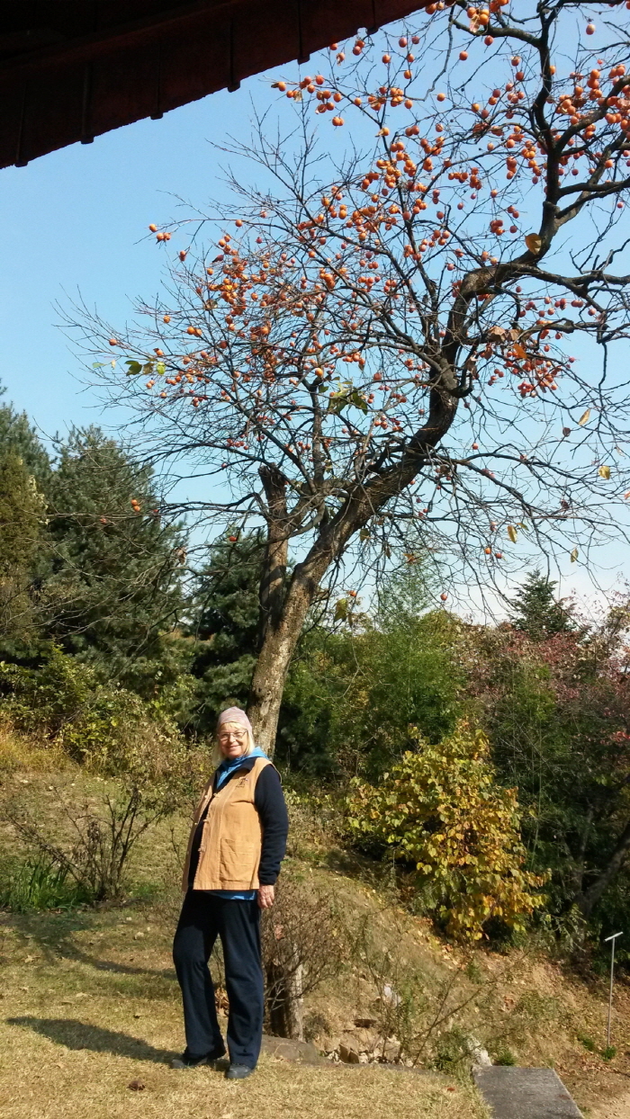 20151102_113843.jpg