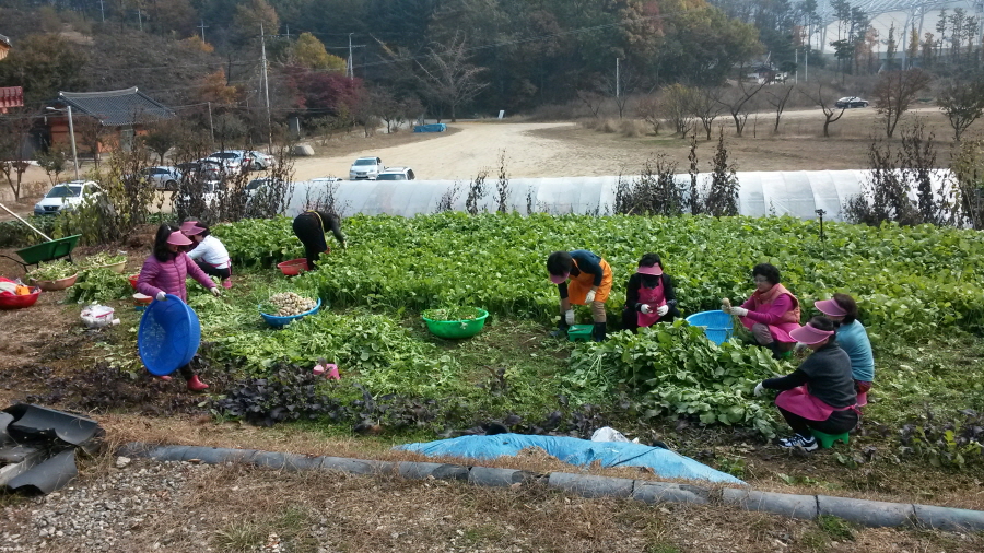 20151102_112510.jpg