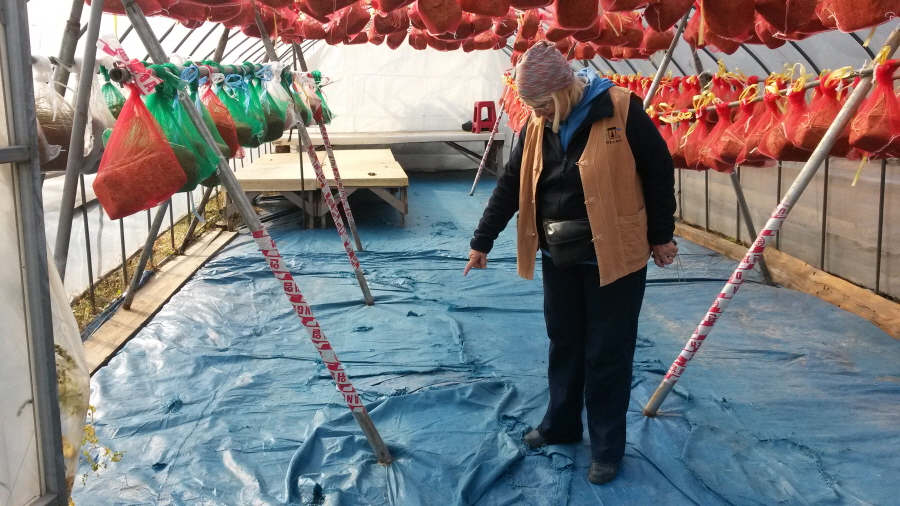 20151102_101257.jpg