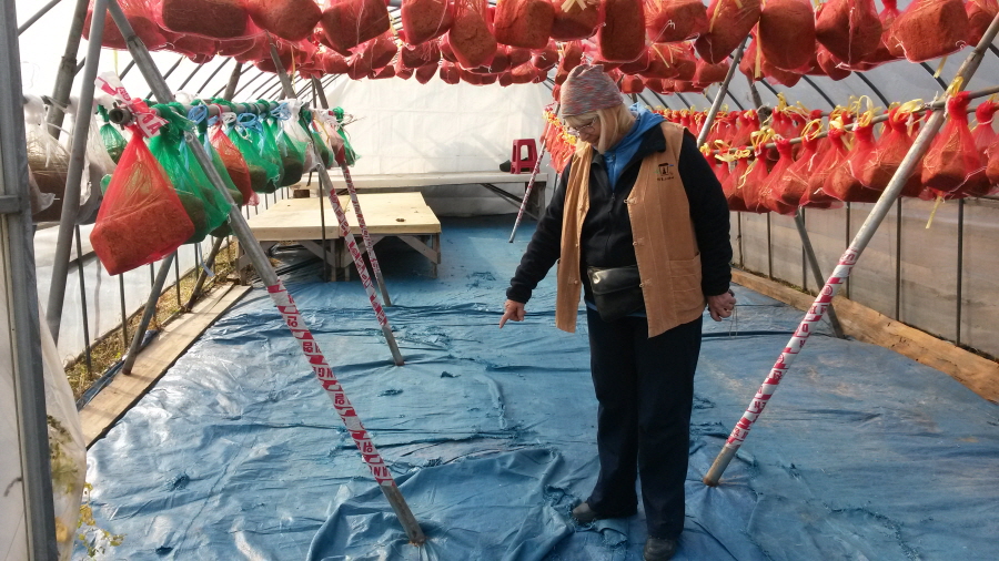 20151102_101300.jpg