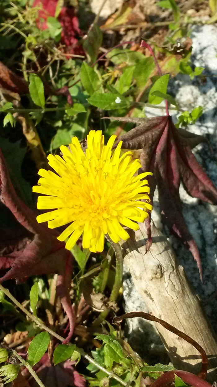 20151102_105727.jpg