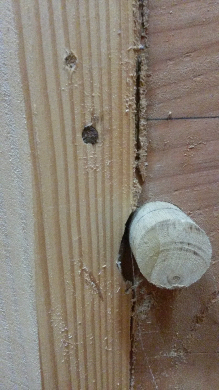 20151101_180645.jpg