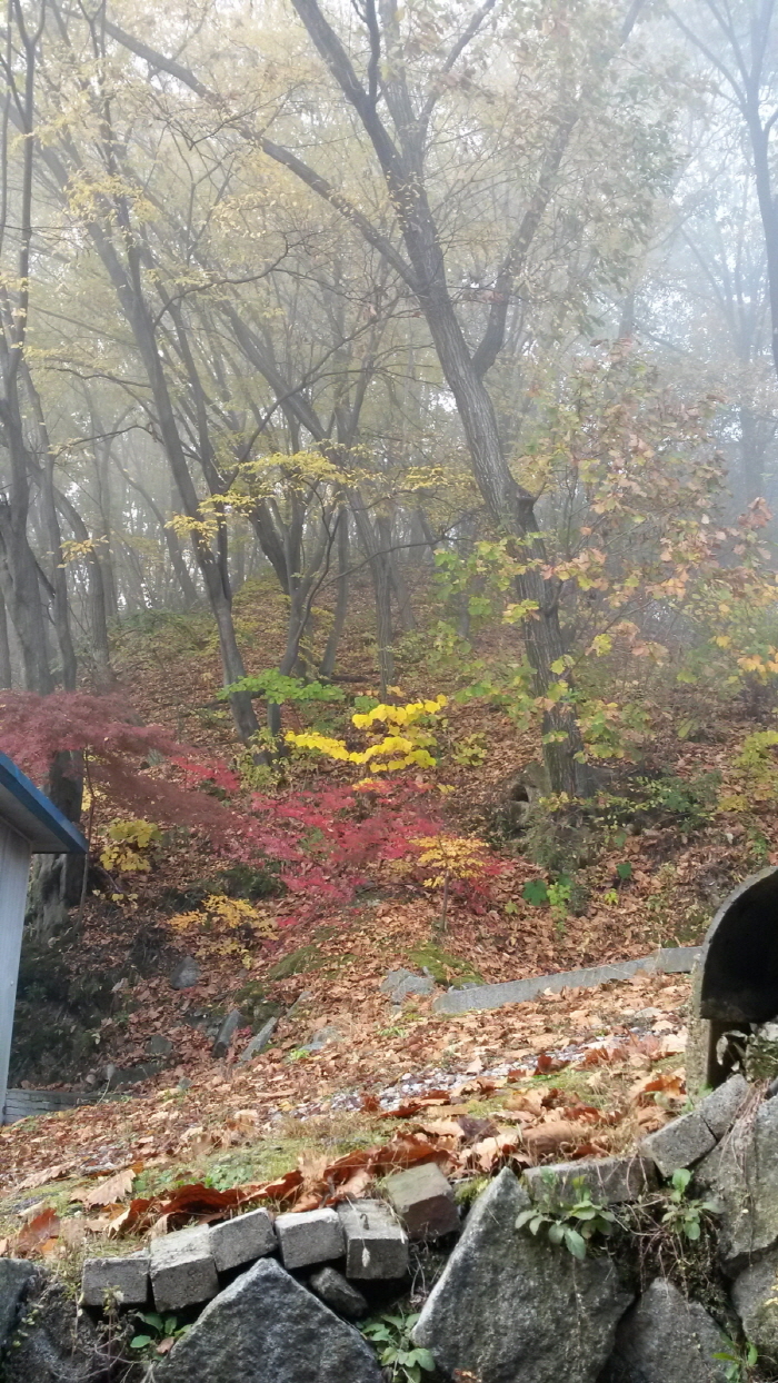 20151103_084014.jpg