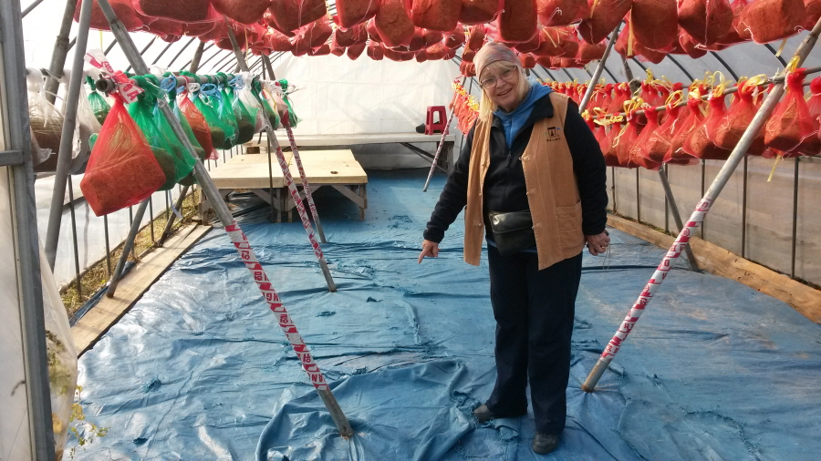 20151102_101258.jpg