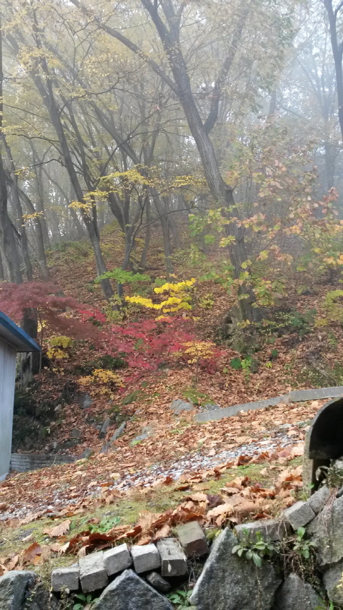 20151103_084001.jpg